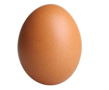 TELUR