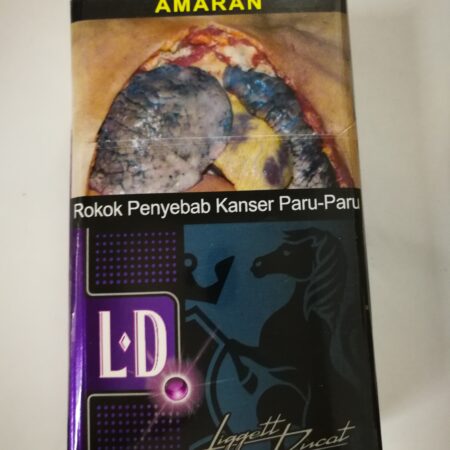 403LDLight