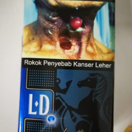 404LDIce
